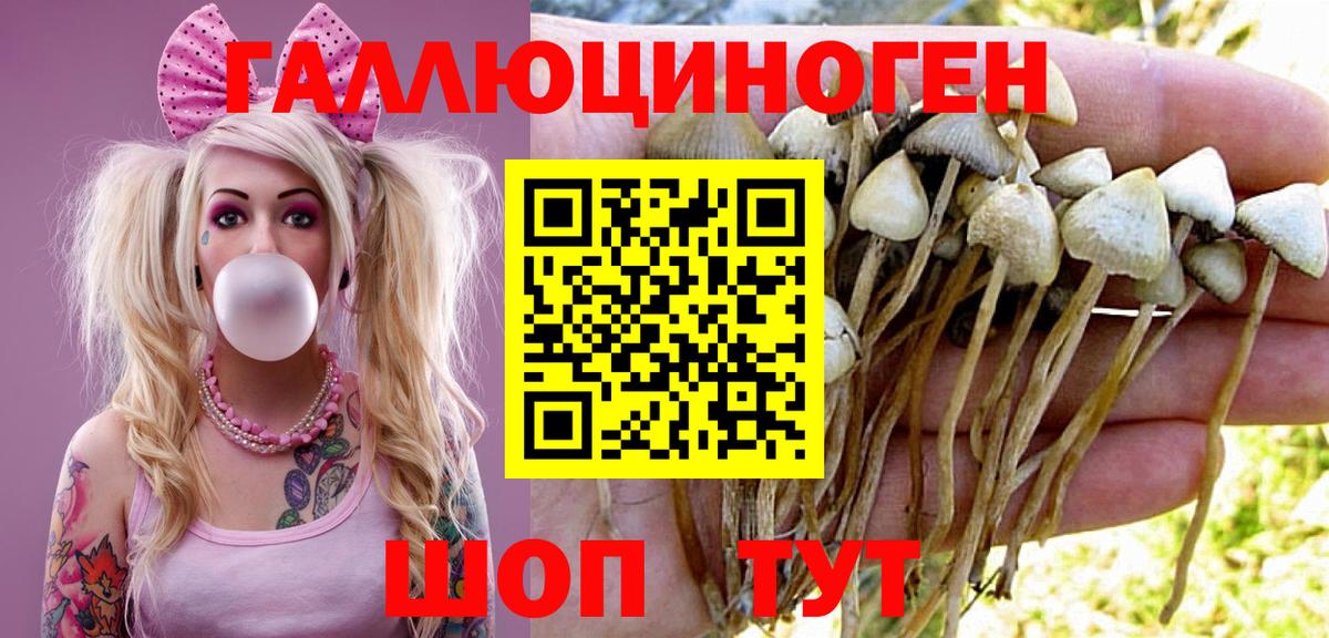 Галлюциногенные грибы Magic Shrooms  Вход с VPN  Кириши 