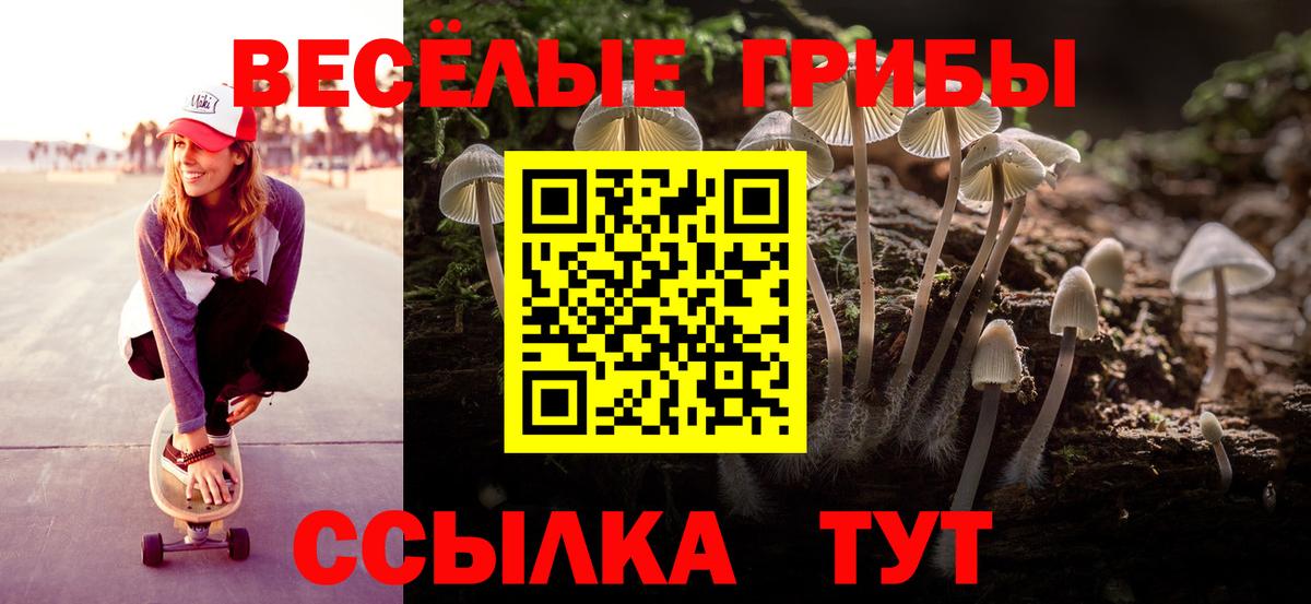 Псилоцибиновые грибы ЛСД Кириши